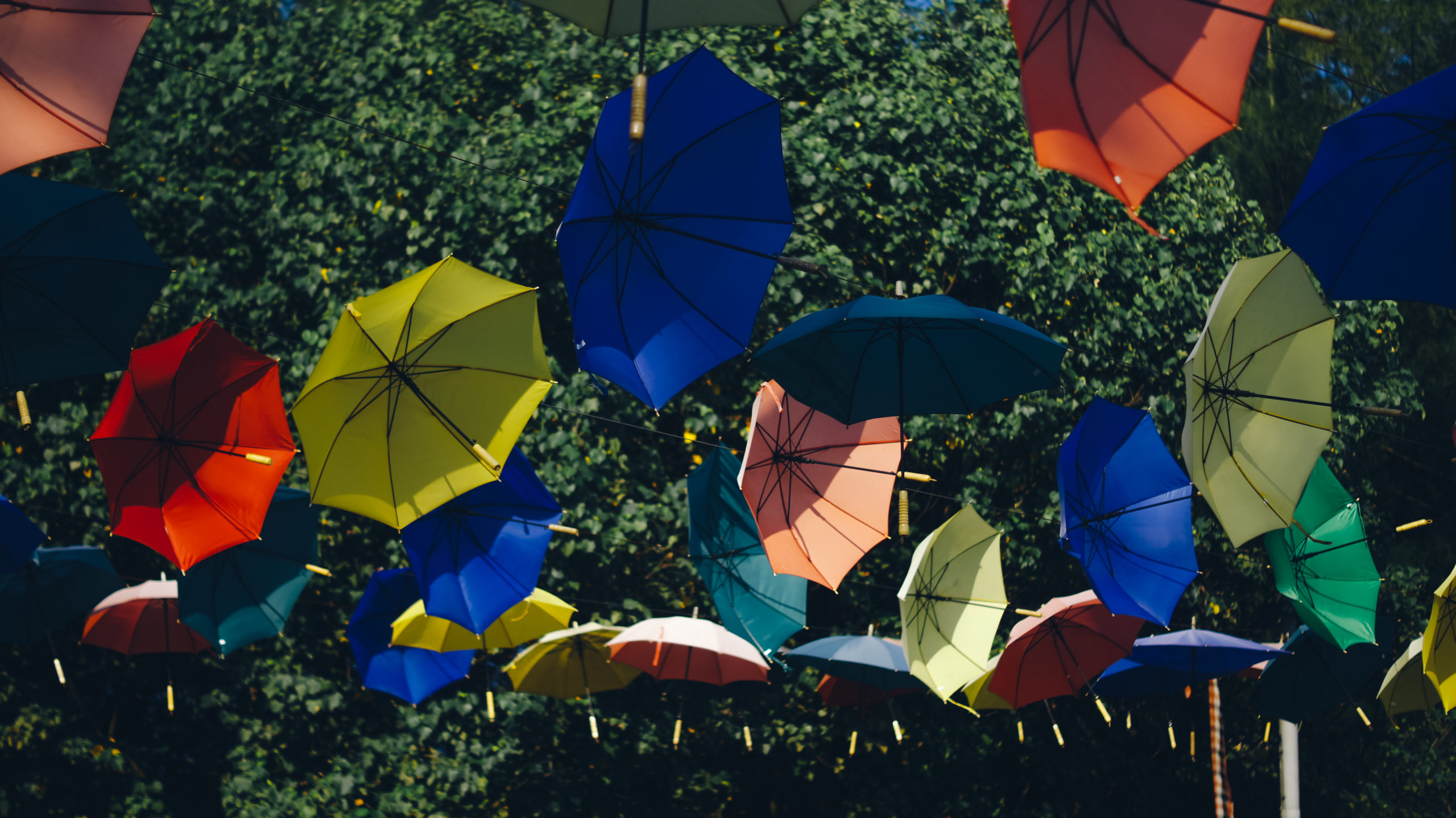 Parapluies qui s'envolent